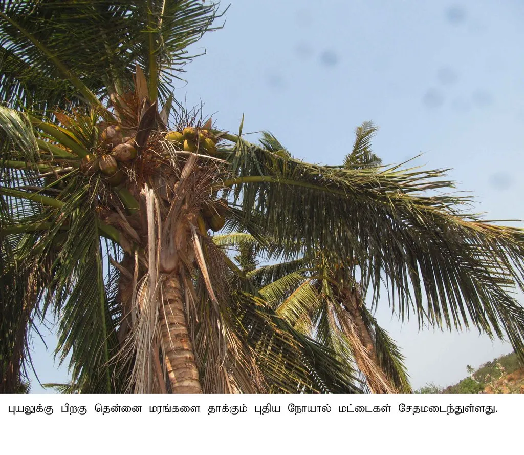 pudukottai 
